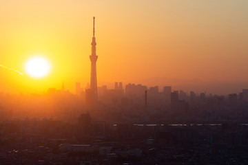 Fototapeta na wymiar Aerial view of Tokyo city and Skytree tower at dusk in Japan