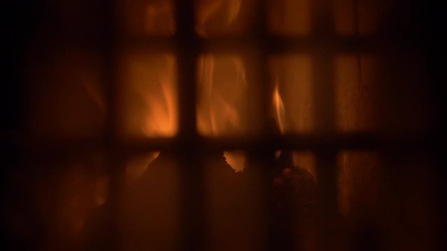 Firewood burning in Tile Stove / Cockle behind the glass door