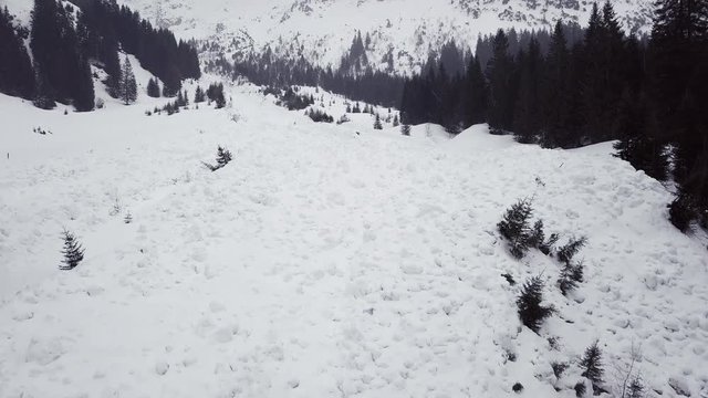 Avalanche runout zone in the alps, Austria, Kleinwalsertal, bad weather