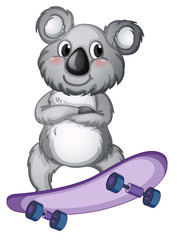 A koala playing skateboard