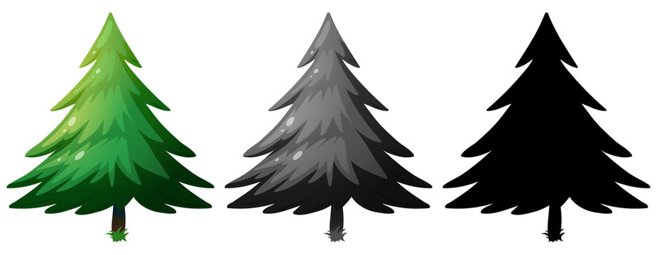 Set of pine tree