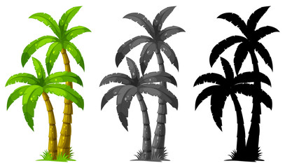Ensemble de palmier