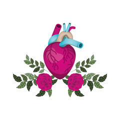 heart with veins and flowers isolated icon