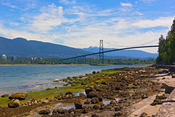 Fototapeta premium Stanley Park panorama with a view on Lions Gates Bridge and mountains with snow peaks on horizon in Vancouver BC, Canada. Beautiful summer day for a stroll on park trails.