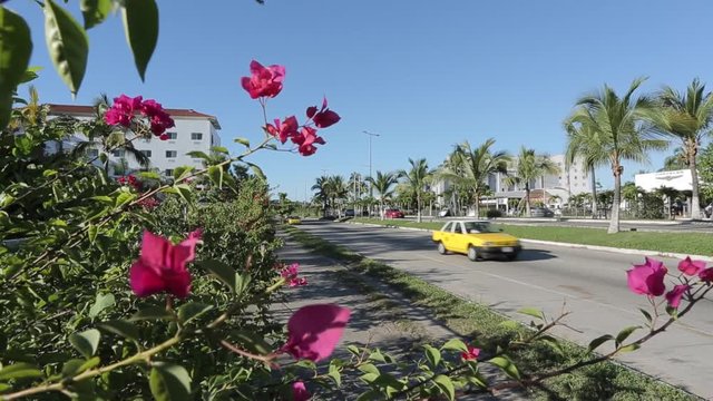 Traffic on Puerto Vallarta Tepic, Puerto Vallarta, Mexico, North America 