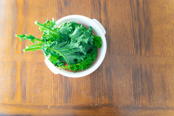 Bunch organic fresh of kale in plastic bowl on table