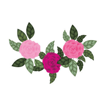 beautiful roses with leafs isolated icon
