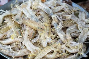 Sea fresh shrimps at street market in Thailand. Seafood concept.