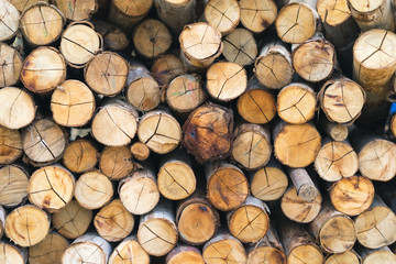 Stacked wooden logs background. Texture of logs background manufacture of wood.