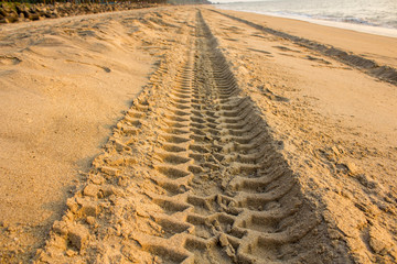 tire track in yellow sand on the ocean beach