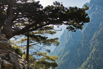 Viewpoint on a top of Samaria gorge, south west part of Crete island, Greece