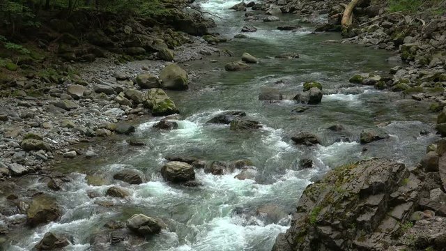 Breitach mountain stream in Breitachklamm near Oberstdorf, Allgau, Swabia, Bavarian Alps, Bavaria, Germany, Europe