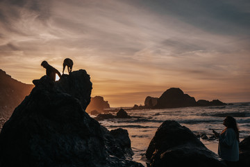 silhouette of man at sunset