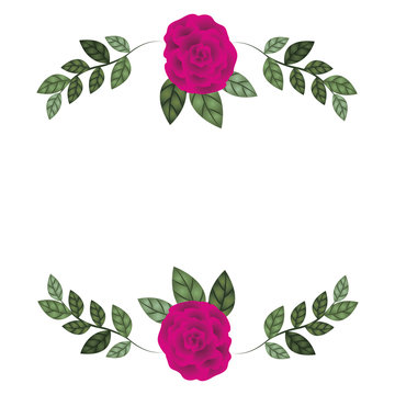 beautiful roses with leafs isolated icon
