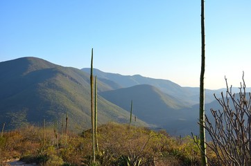 Mexican Landscape in Chiapas