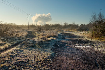 Frosty morning landscape