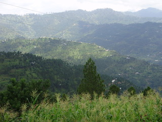 Obraz premium OLYMPUS DIGITAL CAMERA