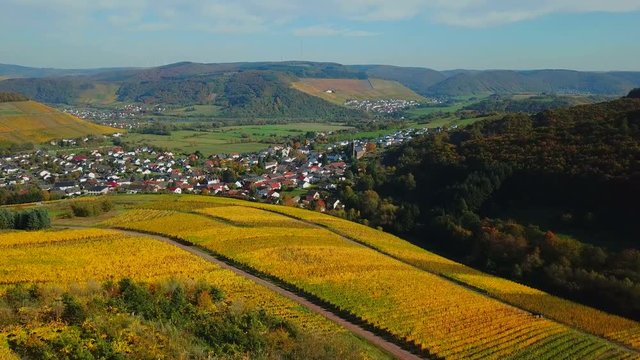 Aerial view of wine-village Ayl in autumn, Saar River, Saar Valley, Rhineland-Palatinate, Germany