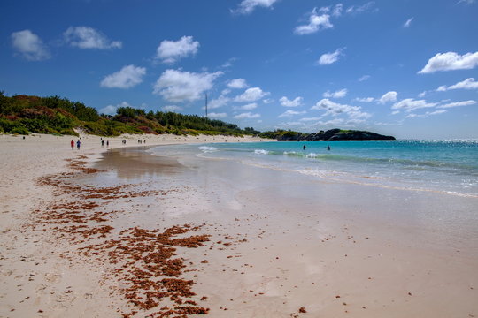 「バミューダ島」の画像 98 件の Stock 写真、ベクターおよびビデオ Adobe Stock