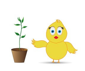 chick standing near the green growing plant