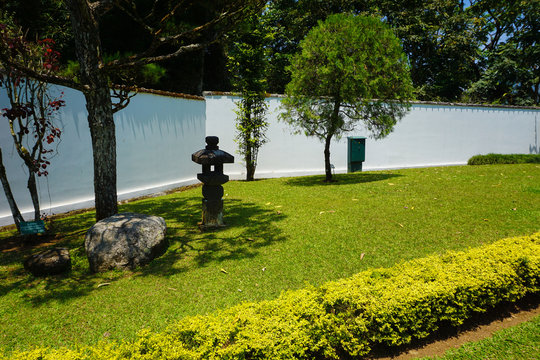 japanese japan garden with white wall style and green grass and tree park - photo