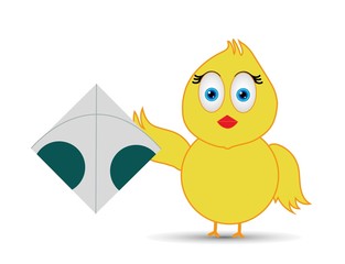 chick playing with kite