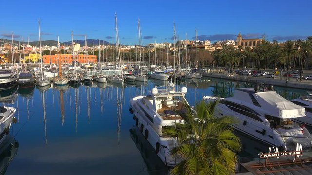 Marina Moll Vell, Palma de Mallorca, Mallorca (Majorca), Balearic Islands, Spain, Mediterranean, Europe