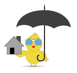 chick under the umbrella protection
