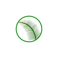 palem leaf in the circle logo design vector