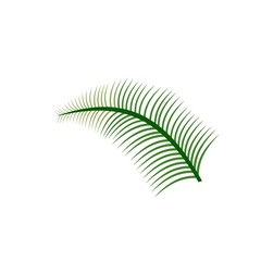 palm leaf logo design vector