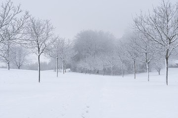 Winter Switzerland fairytale chapel on hill 