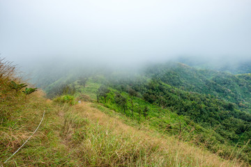 Peak green mountain in valley with foggy