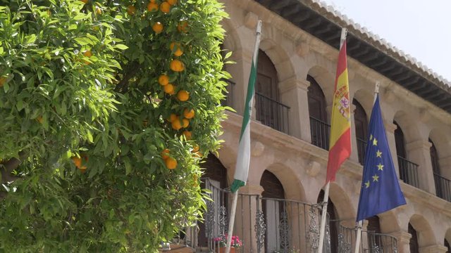 Ronda Town Hall (Ayuntamiento de Ronda) in Plaza Duquesa de Parcent, Ronda, Andalucia, Spain, Europe
