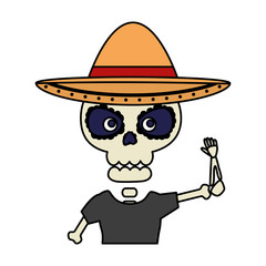 skeleton mexican with hat