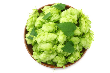 Hop cones isolated on white background. Beer brewing ingredients. Beer brewery concept. Beer background. Top view