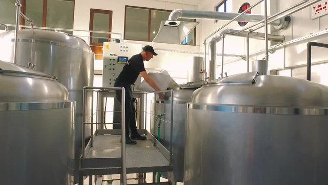 Brewer drops malt into barrel, beer making process.