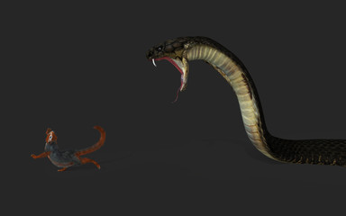 3d Illustration King Cobra Snake hunting and Squirrel Escape with Clipping Path.