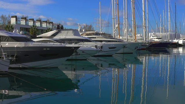 Marina Moll Vell, Palma de Mallorca, Mallorca (Majorca), Balearic Islands, Spain, Mediterranean, Europe