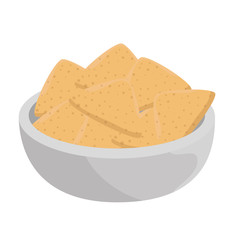 delicious nachos mexican food