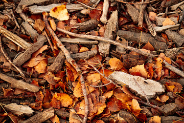 Fall floor