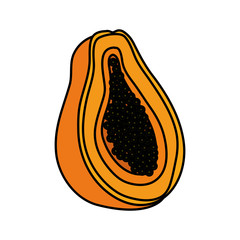 papayo fresh fruit icon