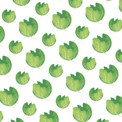 fresh lettuce pattern background