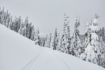 Mountain road during winter