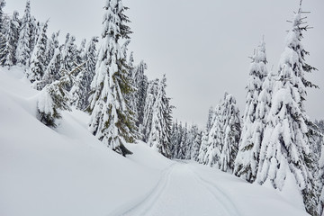 Mountain road during winter