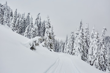 Mountain road during winter