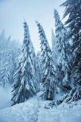 Winter landscape in the mountains