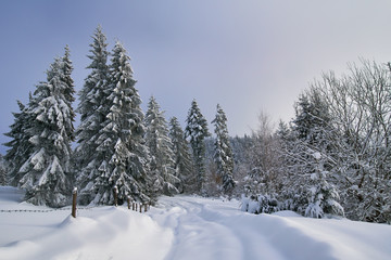 Mountain road during winter