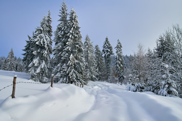 Obraz na płótnie Canvas Mountain road during winter