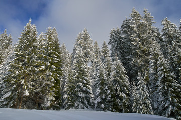 Winter landscape in the mountains