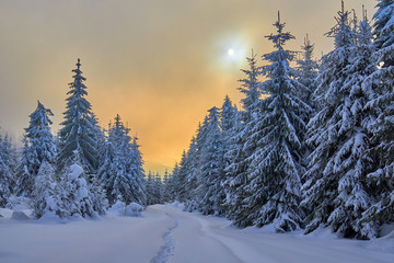 Mountain road during winter